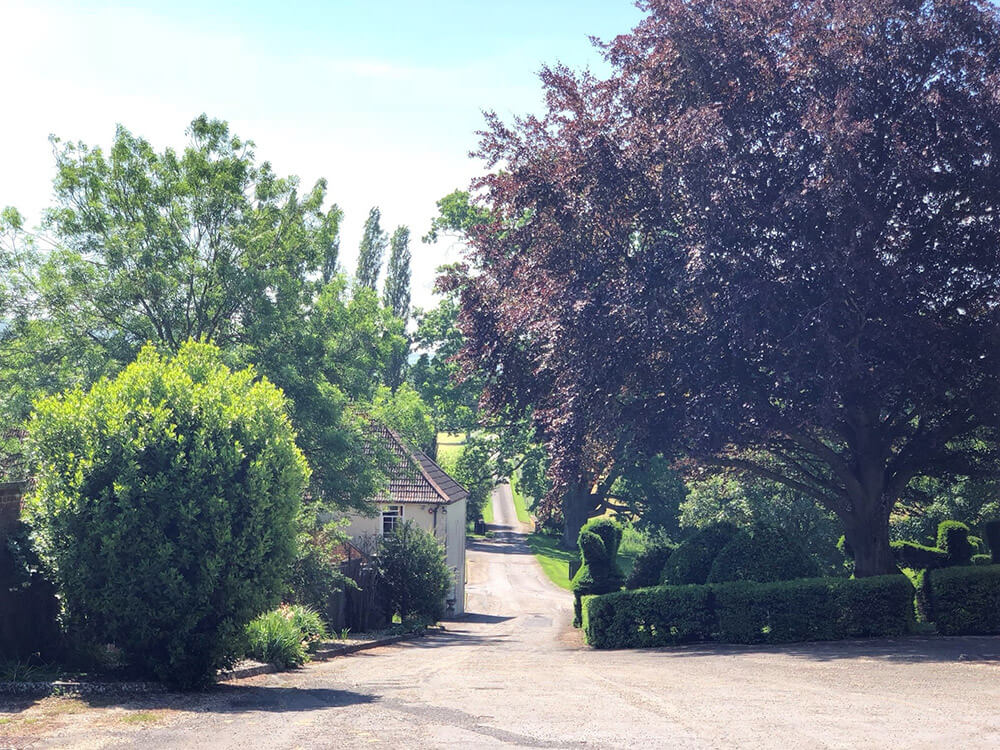 Heywood House Wiltshire Driveway