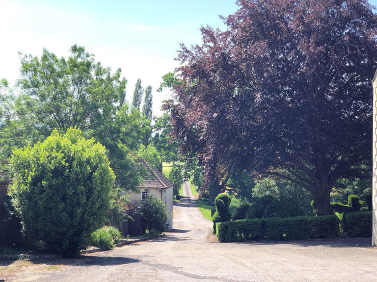 Driveway