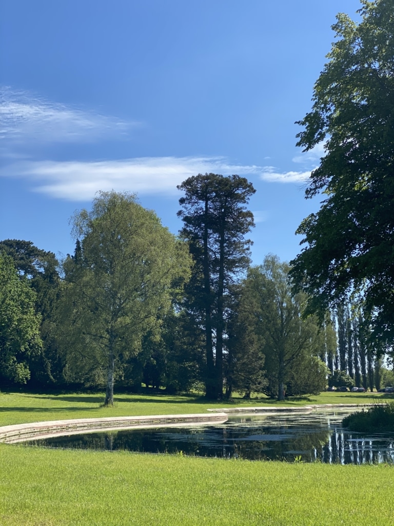 Lake View