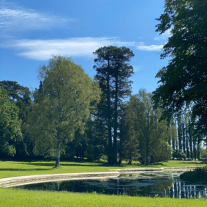 The Lake at Heywood House