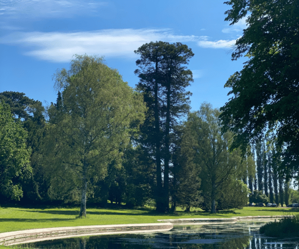 The Lake at Heywood House