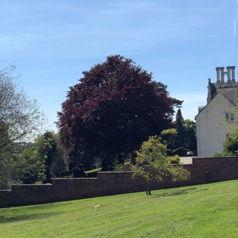 Walled Garden