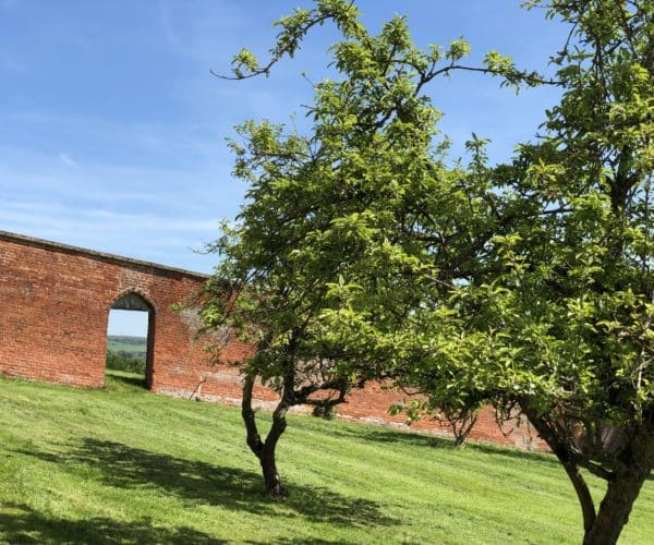 Walled Garden at Heywood House