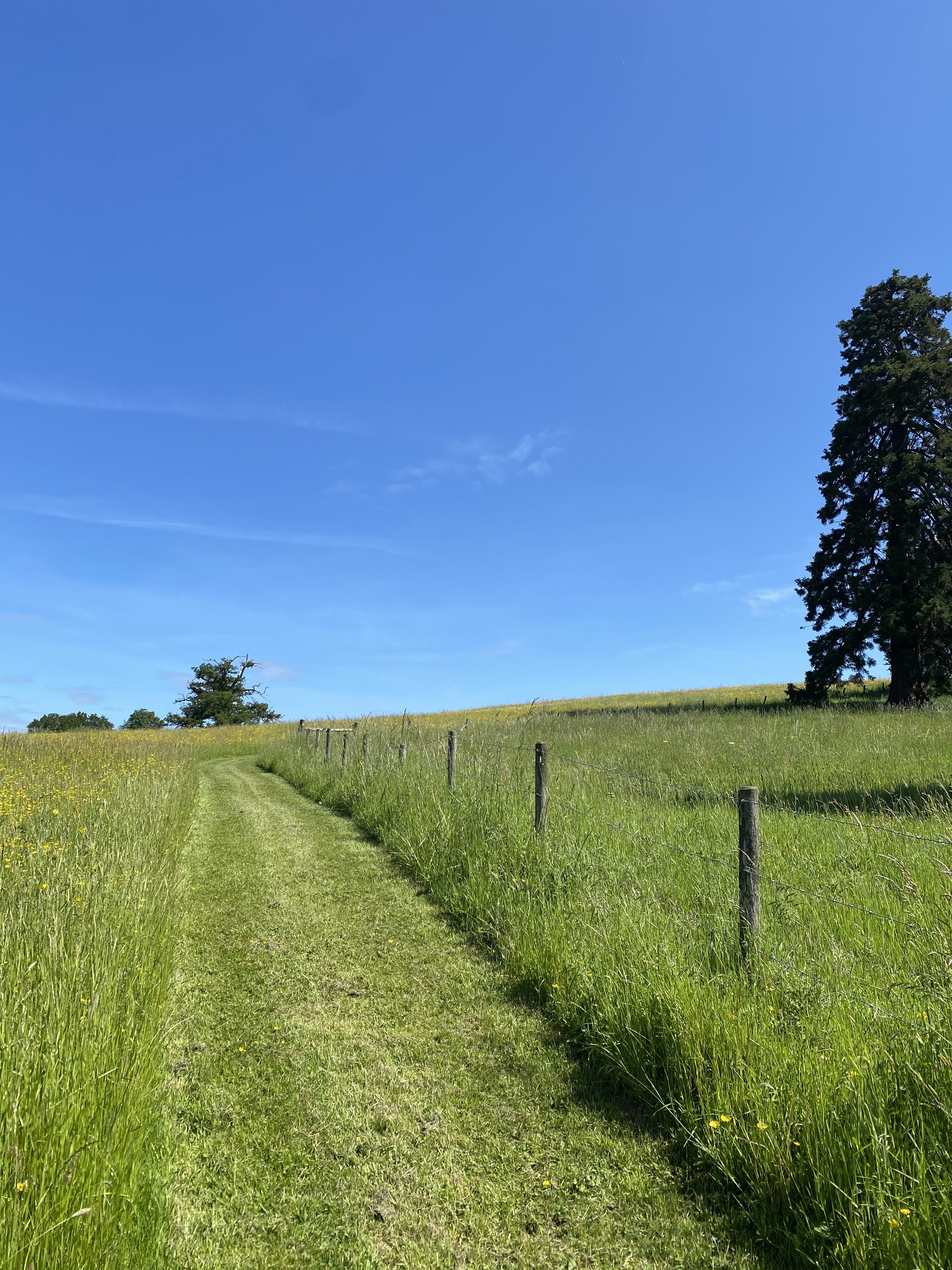 Heywood House Running Circuit