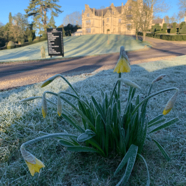 Winter workplace wellbeing at Heywood House